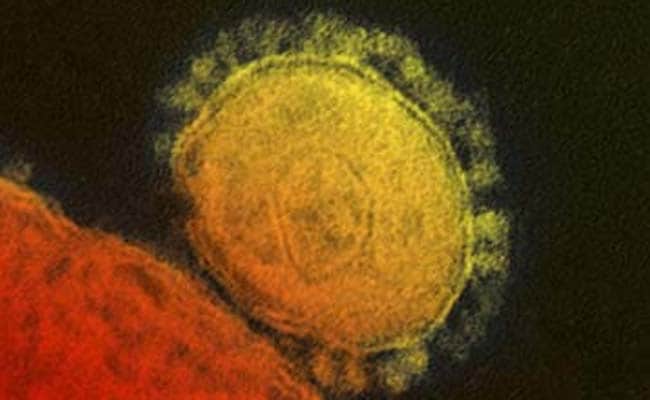 UN Team Investigates Saudi Surge in Cases of Deadly MERS Virus