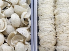 Bird Nests Made with Saliva: One of the World's Most Expensive Foods Bird Nests Made with Saliva: One of the World's Most Expensive Foods