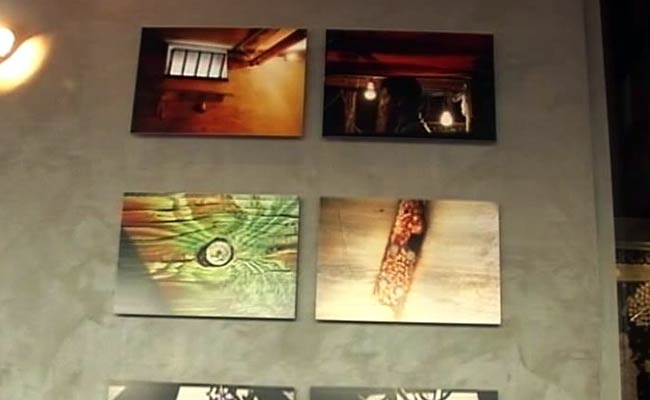 Meet Priyanka Gandhi, the Photographer