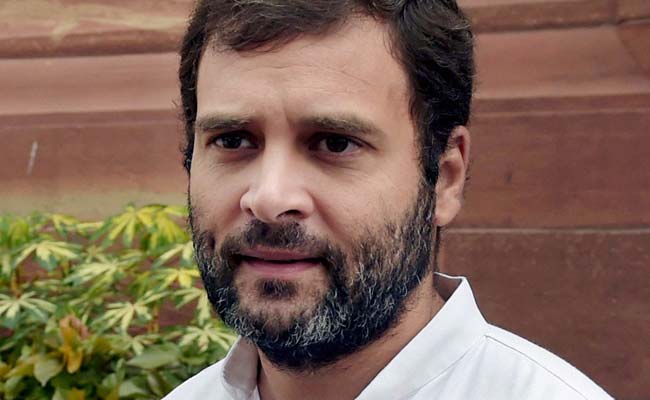Search Parties Scout for Rahul Gandhi