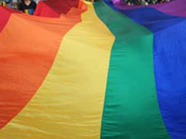 If Centre Wants, It Can Use Majority to Decriminalise Homosexuality: LGBTQ Activists