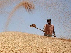 Stone Age Britons Imported Wheat in Shock Sign of Sophistication: Study