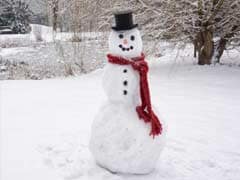 Do You Wanna Build a Snowman? Japanese City Makes 1,585