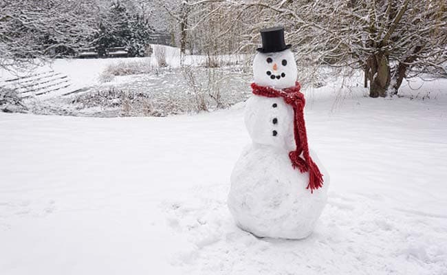 Do You Wanna Build a Snowman? Japanese City Makes 1,585