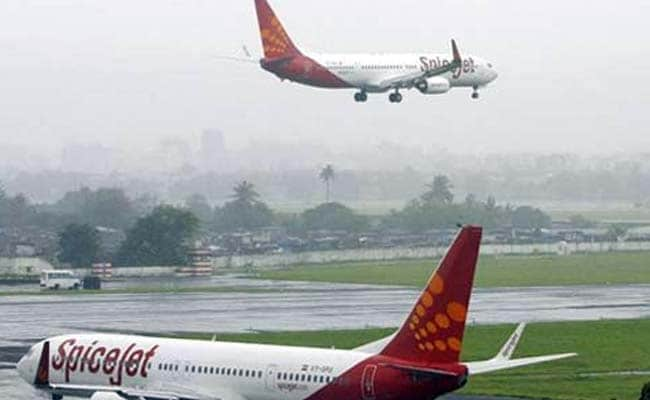 Dog Crosses Flight's Path On Ahmedabad Taxiway