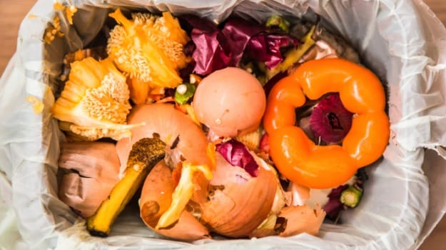 Food Waste Is Becoming A Serious Economic and Environmental Issue