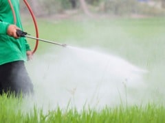 Pesticide Exposure Linked to Weaker Breaths in Children