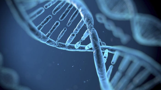 How New Genes Emerge During Evolution