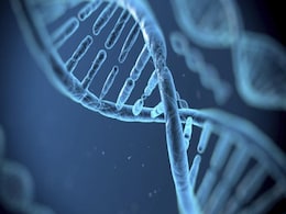 New Gene Editing Technique May Treat Inherited Blindness New Gene Editing Technique May Treat Inherited Blindness