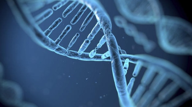 6 Genes Found To Control One's Personality, Affect Health, Well-Being