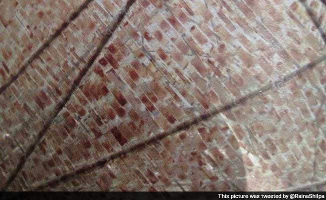 'Diamond' Made of 10,000 Blood Slides a Hit in Kochi Fair