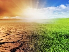 Ignoring Climate Change May Increase Nutrition Disorders Ignoring Climate Change May Increase Nutrition Disorders