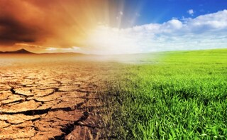 Ignoring Climate Change May Increase Nutrition Disorders