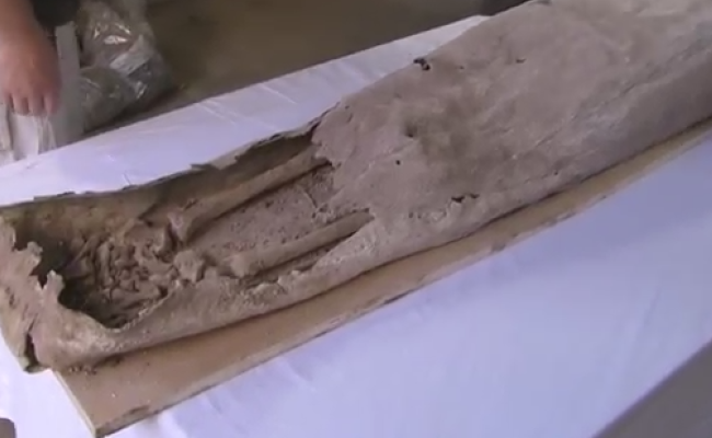 Mystery Coffin: Woman Found Buried Next to Richard III's Grave