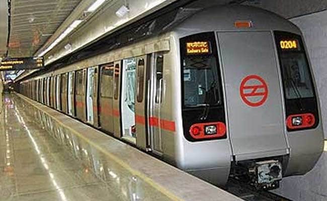 Stray Dog in Delhi Metro Coach Raises Security Concerns