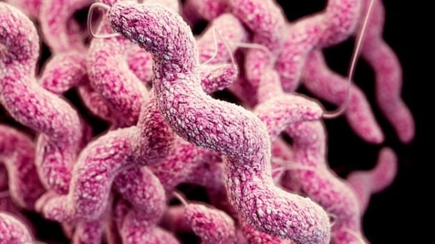 Common Pesticides Linked To Antibiotic Resistance