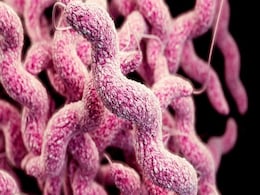 Common Pesticides Linked To Antibiotic Resistance Common Pesticides Linked To Antibiotic Resistance