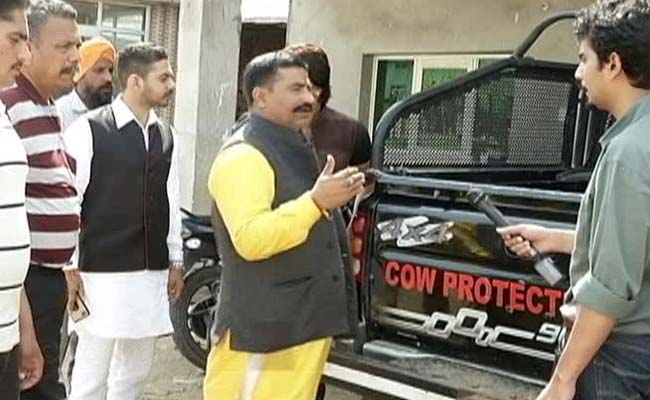Haryana's Brutal Cattle Vigilantes, Notorious for YouTube Videos, Appear to be Above the Law