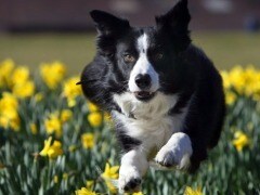 Does Walking Make You Stiff? Does Walking Make You Stiff?