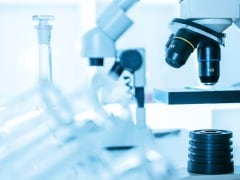 Researchers Have Developed a Mini-Heart On Microchip Researchers Have Developed a Mini-Heart On Microchip