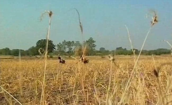 Don't Lose Hope, Government Will Help You: Maharashtra to Farmers