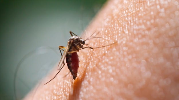 How O Blood Group Protects Against Malaria