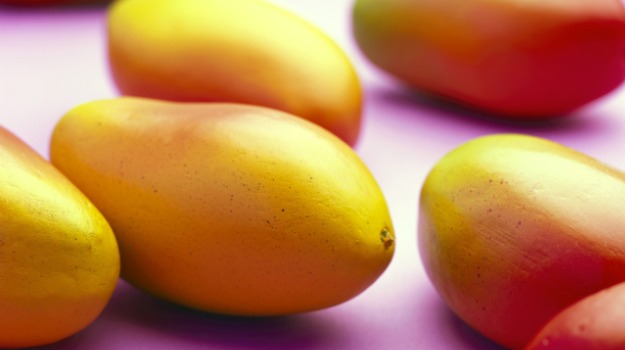 'Modi Mango' - A New & Rare Variety