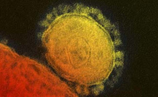 MERS Virus Kills 10 More in Saudi Arabia, Health Campaign Broadened