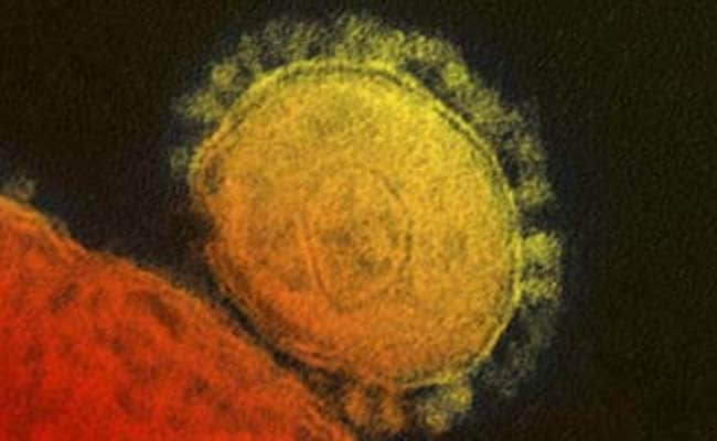 MERS Virus Kills 10 More in Saudi Arabia, Health Campaign Broadened