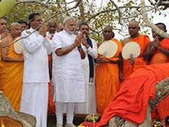 PM Narendra Modi Offers Prayer at Mahabodhi Tree in Sri Lanka's Ancient Capital