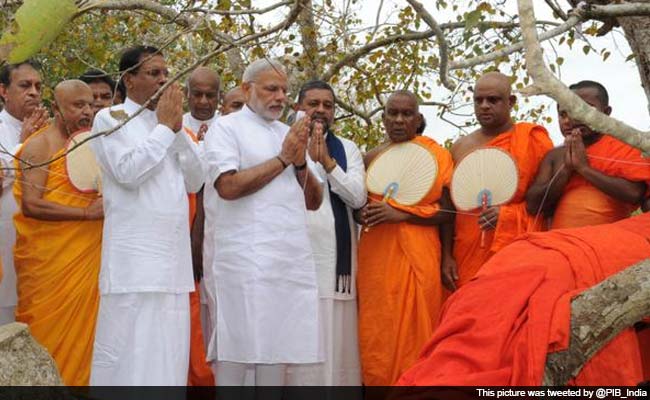 PM Narendra Modi Offers Prayer at Mahabodhi Tree in Sri Lanka's Ancient Capital