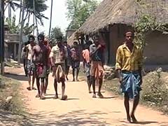 Uncertainty Over POSCO Threatens Farmers' Livelihood in Odisha