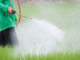 Pesticide Exposure Linked to Weaker Breaths in Children Pesticide Exposure Linked to Weaker Breaths in Children