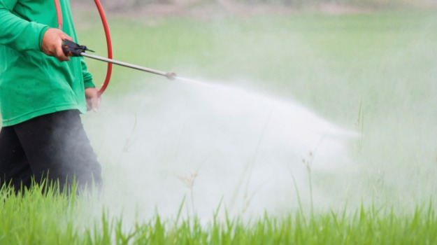 Pesticides Exposure May Damage Sperm in Teenagers