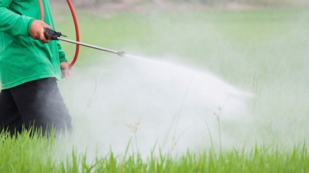 Pesticides In Food: Is There Poison On Your Plate? Tips To Minimize The Damage