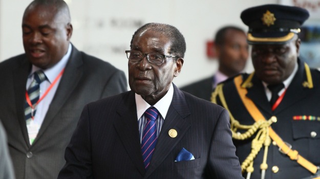 Elephants and Antelopes on the Menu! Zimbabwe President's Wild Birthday Bash