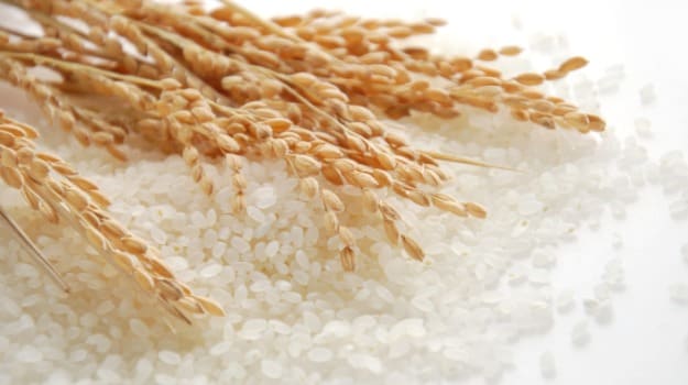 For the Love of Grains: China's New Environment Friendly Rice