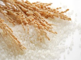 For the Love of Grains: China's New Environment Friendly Rice For the Love of Grains: China's New Environment Friendly Rice