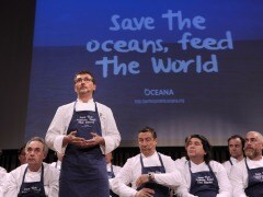 Top Chefs Protecting Over-Exploited Fish to Save the Oceans Top Chefs Protecting Over-Exploited Fish to Save the Oceans