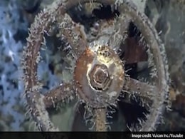 World War II Japanese Ship Found in Philippines, Says US Billionaire World War II Japanese Ship Found in Philippines, Says US Billionaire