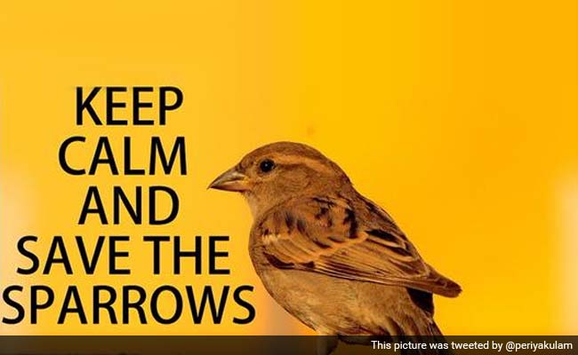 World Sparrow Day's 'Birdmen': Amitabh Bachchan and Akhilesh Yadav