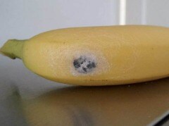 Jeepers Creepers: One of the World's Deadliest Spiders Found in Supermarket Bananas Jeepers Creepers: One of the World's Deadliest Spiders Found in Supermarket Bananas