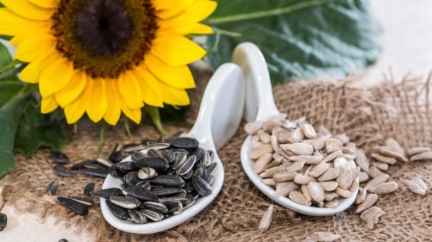 Sunflower Seeds: An Incredibly Healthy Snack That Curbs Food Cravings -  NDTV Food