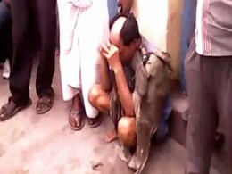 Man Tonsured, Thrashed for Molesting Minor Niece in West Bengal Man Tonsured, Thrashed for Molesting Minor Niece in West Bengal