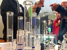 'Now or Never': Making a Killing From Budding US Pot Market 'Now or Never': Making a Killing From Budding US Pot Market