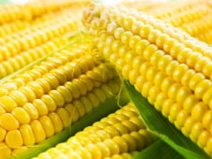 Soon, Run Your Car On Fuel From Corn