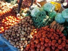 A Low-Fat, High-Fibre Diet May Reduce Bowel Cancer Risk A Low-Fat, High-Fibre Diet May Reduce Bowel Cancer Risk
