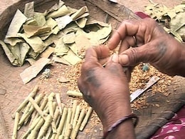 बिहार: GST और लॉकडाउन के चलते बीड़ी कारोबार की कमर टूटी, भुखमरी की कगार पर हैं बीड़ी श्रमिक बिहार: GST और लॉकडाउन के चलते बीड़ी कारोबार की कमर टूटी, भुखमरी की कगार पर हैं बीड़ी श्रमिक