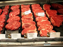 Hit by Beef Ban, Maharashtra Butchers Eye Jersey Cows Hit by Beef Ban, Maharashtra Butchers Eye Jersey Cows