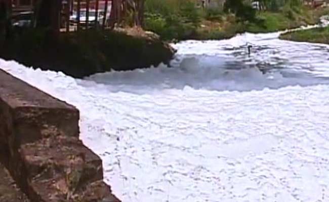 Toxic Foam Overflows From Bengaluru's Varthur Lake